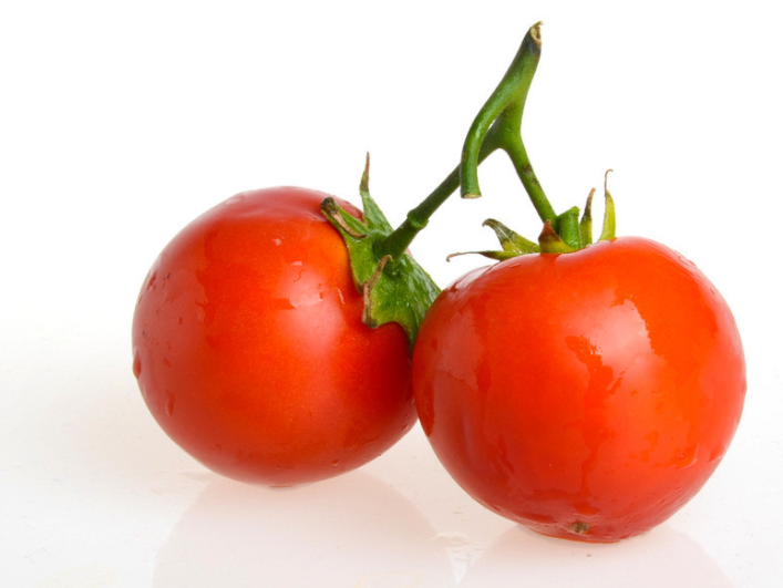 番茄碱与番茄之间的关系 